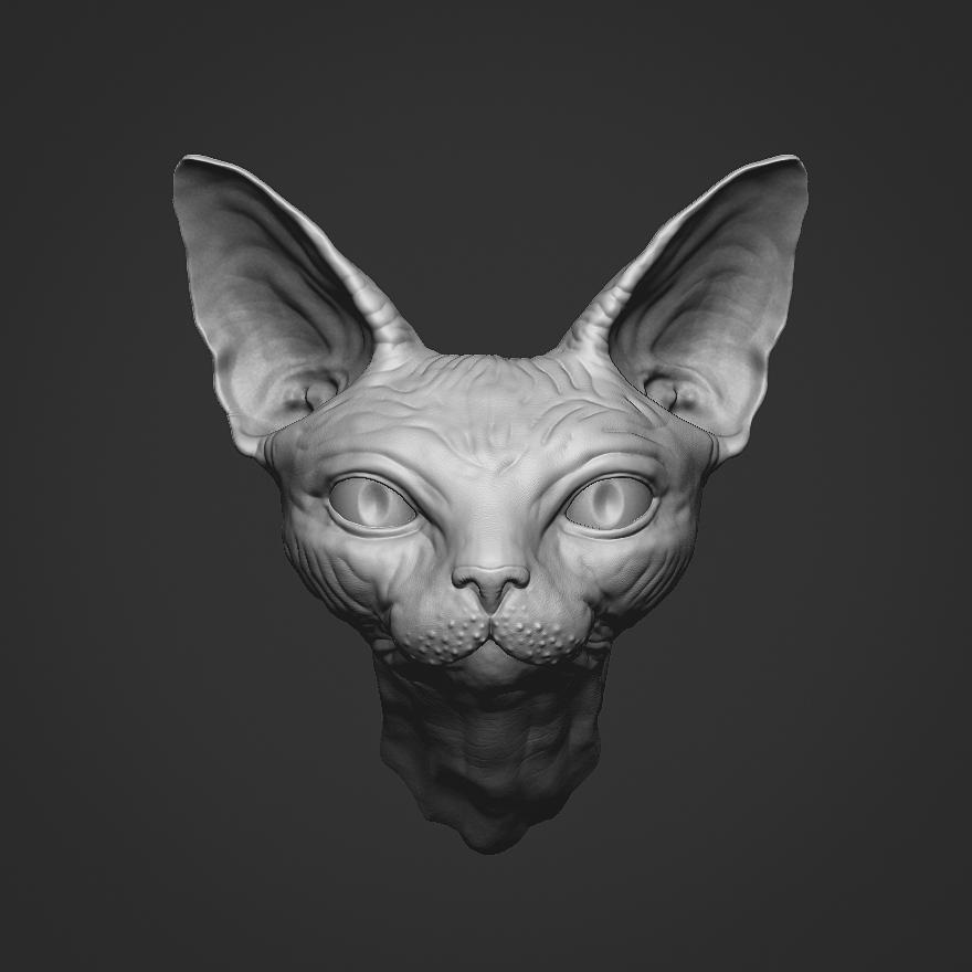 sphynx-cover